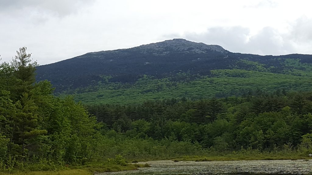 Monadnock-019-2018-06-07 Monadnock from Perkins Pond